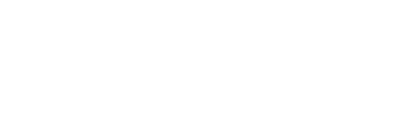 Primary logo, monochrome white